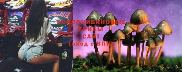mix Алексин