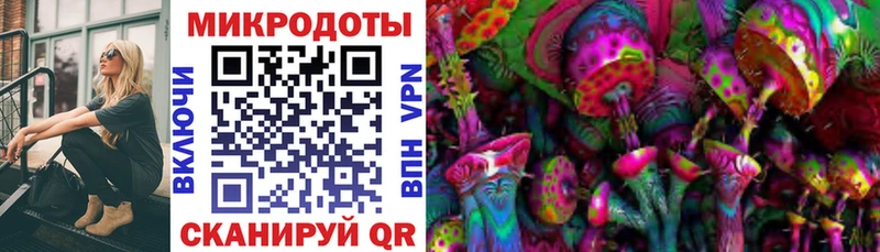 Псилоцибиновые грибы прущие грибы  Чердынь 